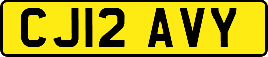 CJ12AVY