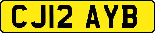 CJ12AYB