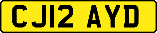 CJ12AYD