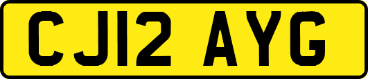 CJ12AYG