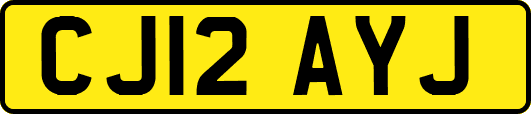 CJ12AYJ