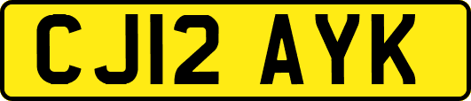 CJ12AYK