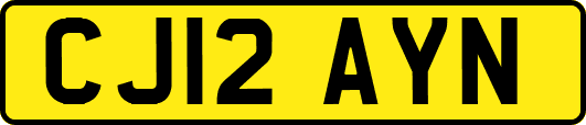 CJ12AYN