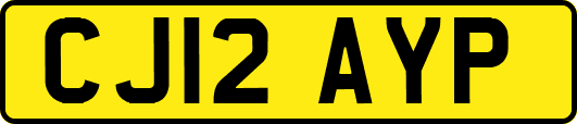 CJ12AYP