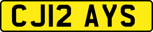 CJ12AYS