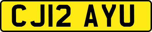 CJ12AYU