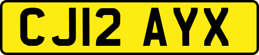 CJ12AYX