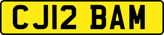 CJ12BAM