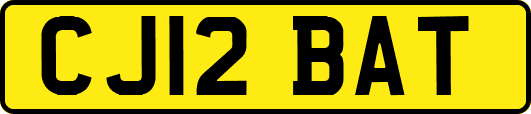 CJ12BAT