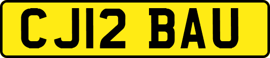 CJ12BAU