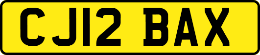 CJ12BAX