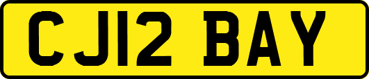 CJ12BAY