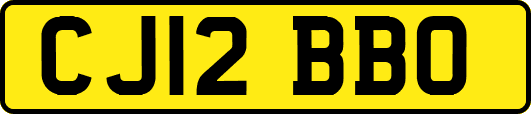 CJ12BBO