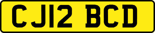 CJ12BCD