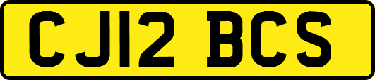 CJ12BCS