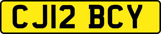 CJ12BCY