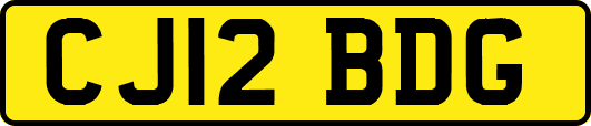 CJ12BDG
