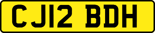 CJ12BDH