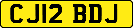 CJ12BDJ