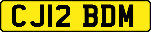 CJ12BDM