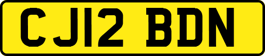 CJ12BDN