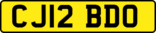 CJ12BDO