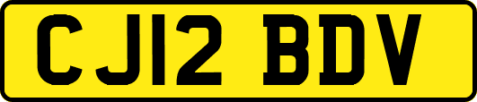 CJ12BDV