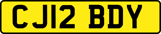 CJ12BDY