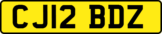 CJ12BDZ