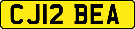 CJ12BEA