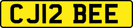 CJ12BEE