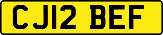 CJ12BEF