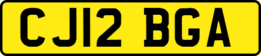 CJ12BGA