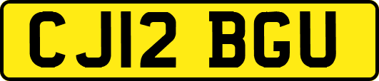 CJ12BGU