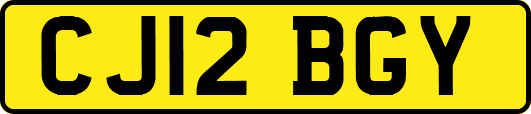 CJ12BGY