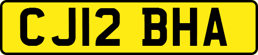 CJ12BHA
