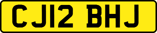 CJ12BHJ
