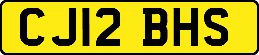 CJ12BHS