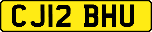 CJ12BHU