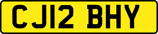 CJ12BHY