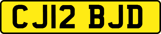 CJ12BJD