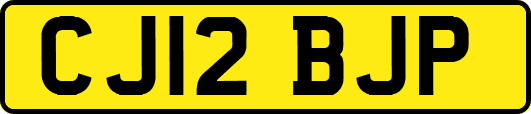 CJ12BJP