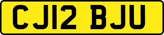 CJ12BJU