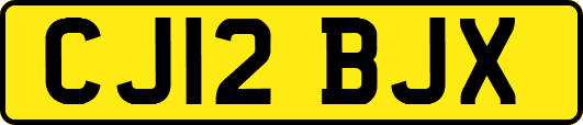 CJ12BJX