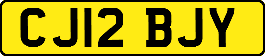 CJ12BJY