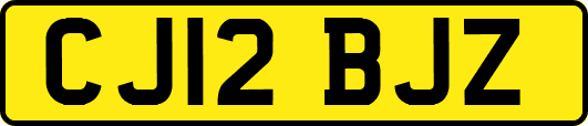 CJ12BJZ