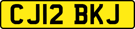 CJ12BKJ