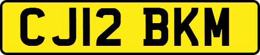 CJ12BKM