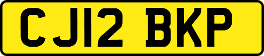 CJ12BKP