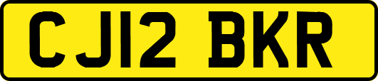 CJ12BKR